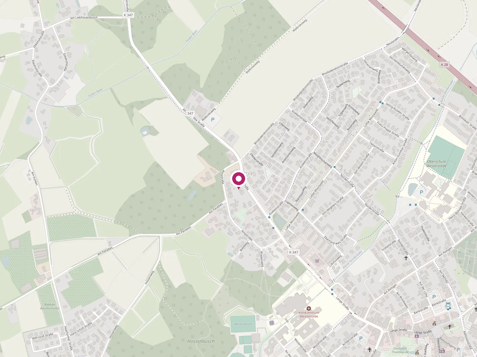 Karte mit dem Standort der Pension Halstrup, Alte Straße 32 in Westerstede
